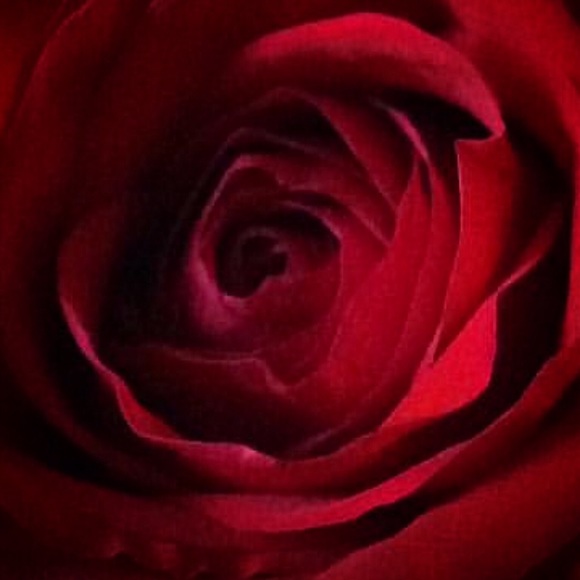 Meet your Posher, Andrea 🕸🥀🕸 - Picture 2 of 11